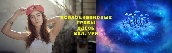 PSILOCYBIN Богородск