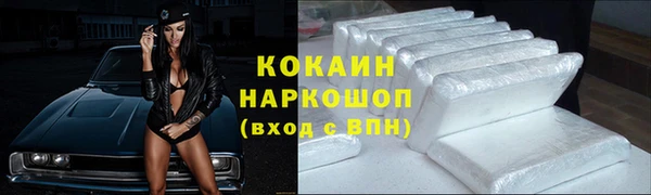 ECSTASY Бородино