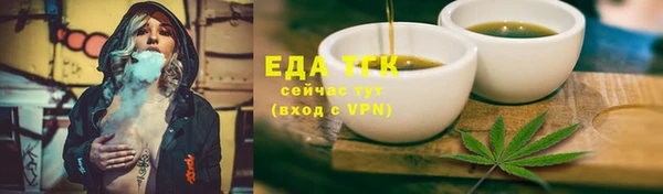 ECSTASY Бородино