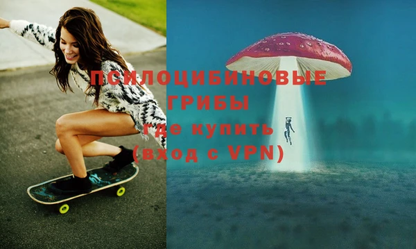 PSILOCYBIN Богородск