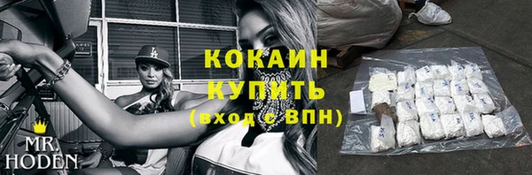 кокс Богородицк