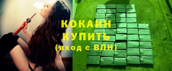 кокс Богородицк